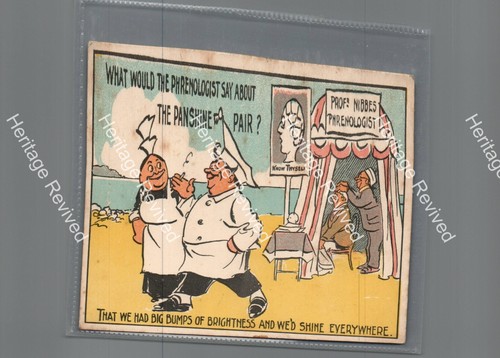 Antique phrenology comic - comic, chef