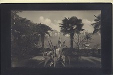 LAGO DI GARDA  VISTA DEI GIARDINI E DEL LAGO ( LOCALITA SCONOSCIUTA ) 084