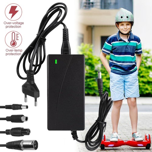 Caricabatterie per scooter - caricabatterie,