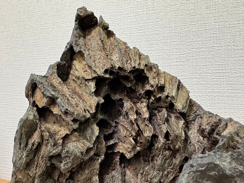 Pietra crisantemo suiseki - pietra, di