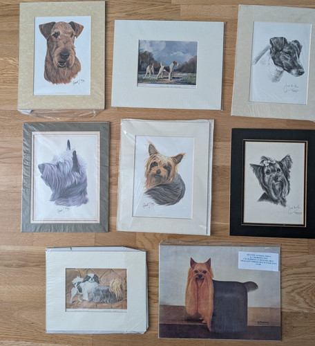 Stampe cane terrier vintage - cane,