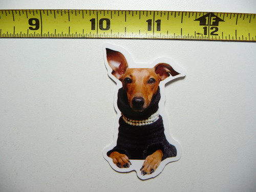 Adesivo glamour doberman - adesivo,
