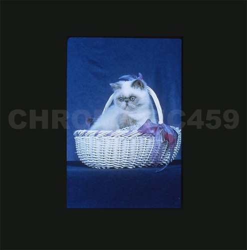 Vint 1991 35mm color slide - color,