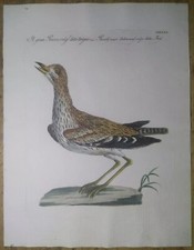 S. Manetti, V. Vanni, L