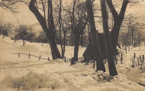 Al11 21a cartolina - al11-21a), panorama