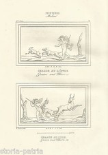 CACCIA ALLA LEPRE_CACCIA AL