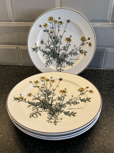 Villeroy boch botanica - villeroy,