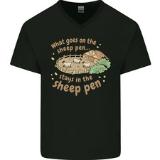 Cosa Succede Nel Recinto Per