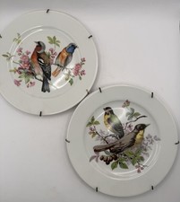 Coppia piatti vintage in - coppia,