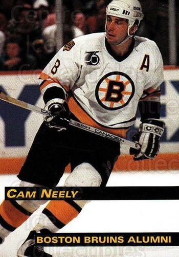 1998 boston bruins alumni - 1998-99,