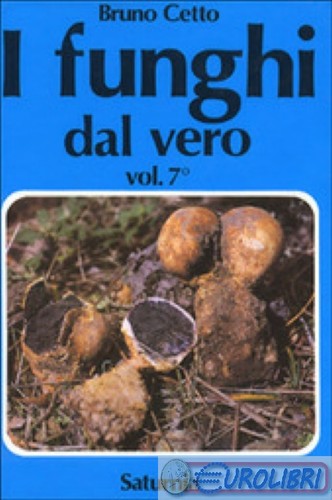 9788885013575 cetto bruno - cetto,