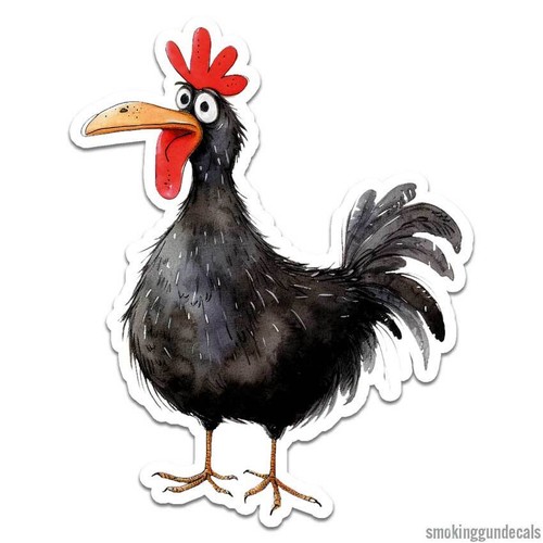 Divertente gallo pollo - gallo, di