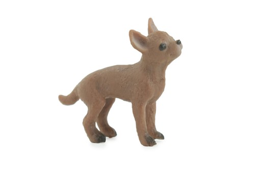 Chihuahua giocattolo per - giocattolo,