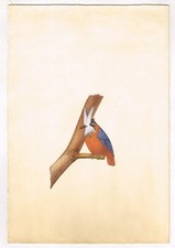 Fatto a Mano Uccello Pittura