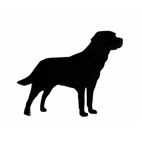Cane labrador liscio cappotto - liscio,