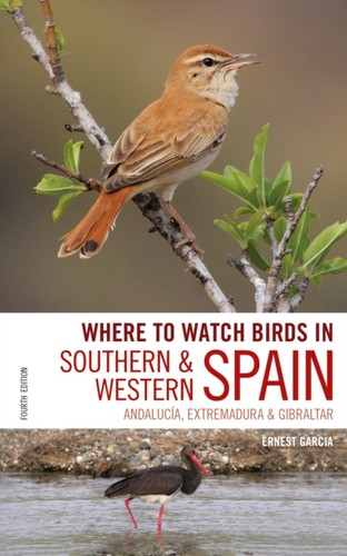 Where watch birds in - birds,