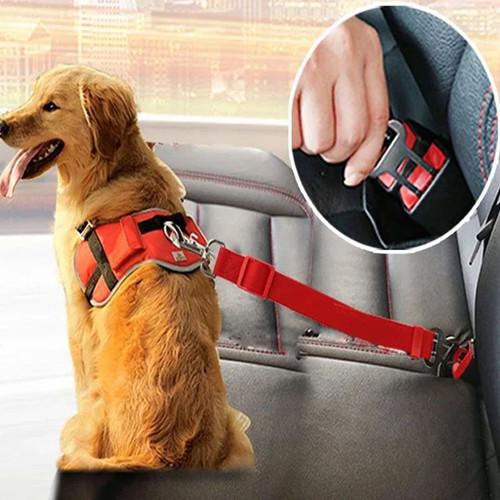 Accessori per cani regolabili
