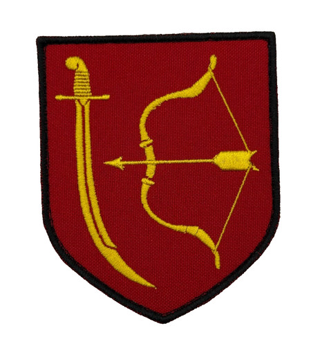 Toppa militare ucraina - toppa, 114a