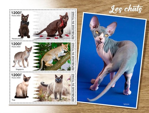 Francobolli gatti sphynx avana - francobolli,