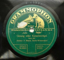 Gesang edler Kanarienvögel