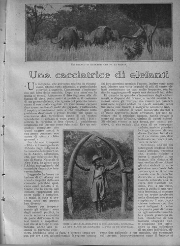 Canestrini una - canestrini,