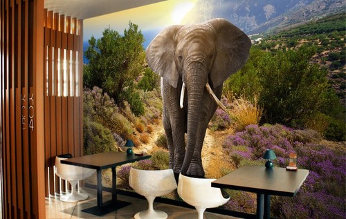 Carta parati elefante - da, 3d
