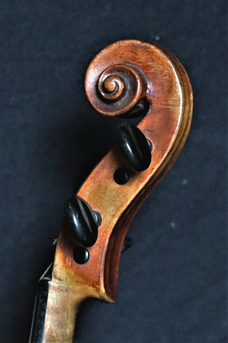Vecchio violino bez j - vecchio,