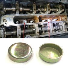 Set 2x Spine Nucleo Testa