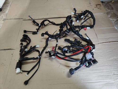 Impianto elettrico yamaha - impianto,