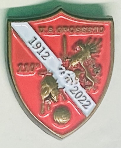 Distintivo spilla pins - distintivo,