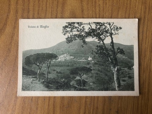 Cartolina veduta moglio non - cartolina,