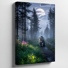 Orso marrone solitario in