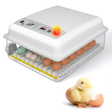 Incubadora 36 huevos con