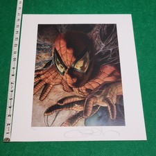 Stampa Simone Bianchi