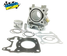 Cilindro Completo SGR 95011023