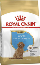 Poodle Puppy | 3 Kg | Alimento
