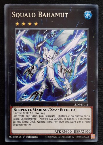 Squalo bahamut rara - rara, in