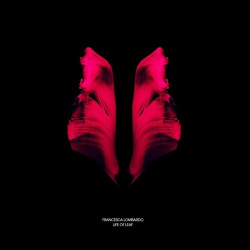 Francesca lombardo life of - lombardo,