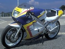 Cupolino rgv 250 1989 1990