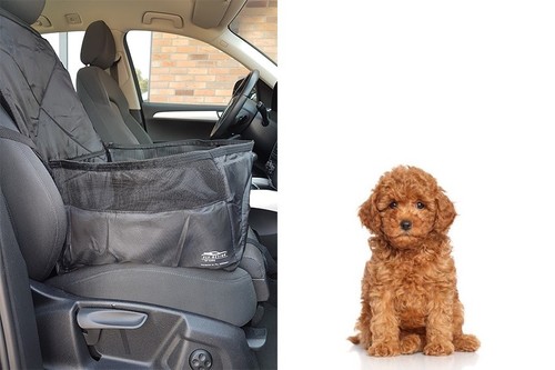 Per borsa cani auto - cani,