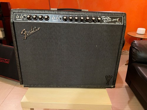 Fender twin reverb george - twin,