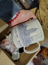 Starbucks Mug New York The Big