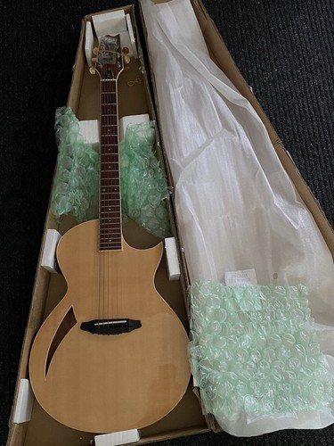 Chitarra elettrica acustica