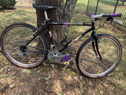 1989 specialized rockhopper - 1989,
