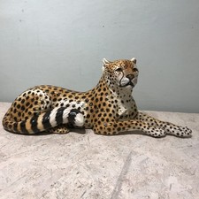 Grande leopardo Giovanni