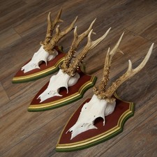 Cornici Reali 3 Pezzi Forti