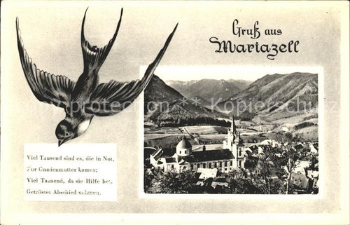 Rondine mariazell stiria - mariazell,