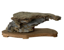 Suiseki Pietra da Vista Bonsai