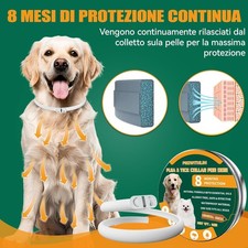 Collare per cane medio - cane, grande