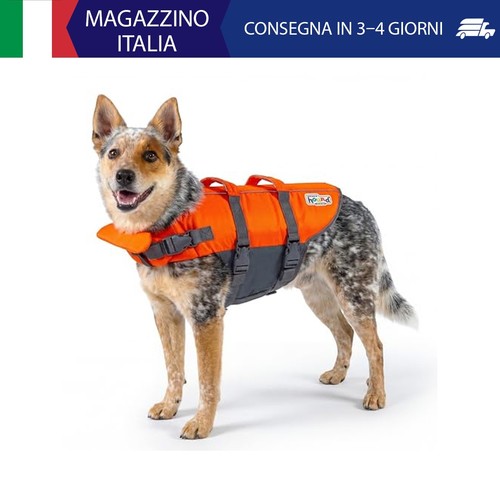 Outward hound granby splash - granby,